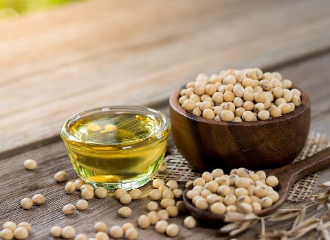 قیمت خرید روغن سویا تراریخته عمده به صرفه و ارزان